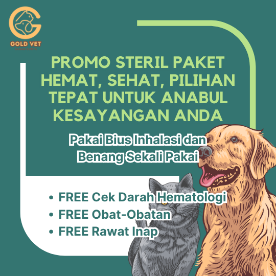 Ilustrasi Promo Steril Kucing dan Anjing