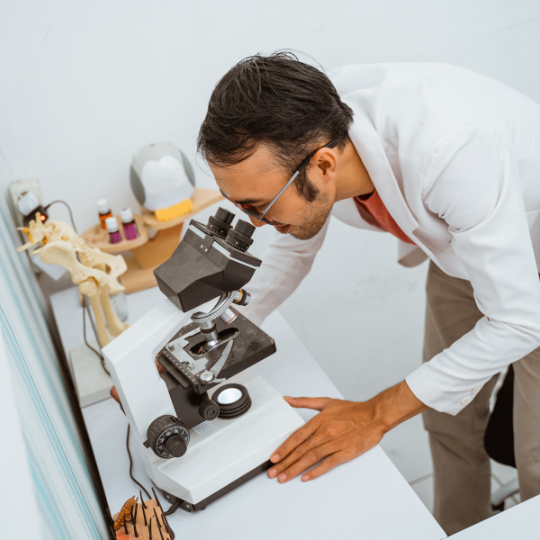 Gold Vet Taman Surya