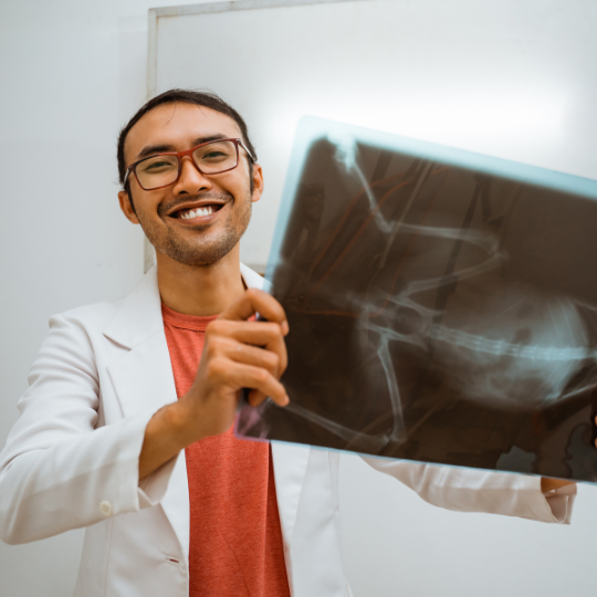 Gold Vet Taman Surya